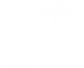cilantro latin kitchen logo